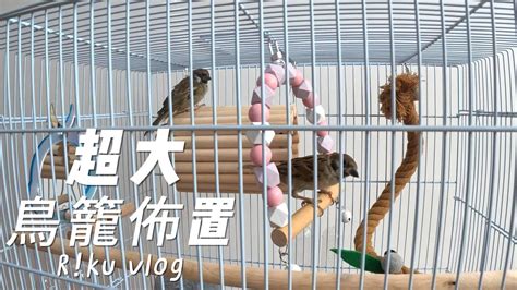 鳥籠佈置